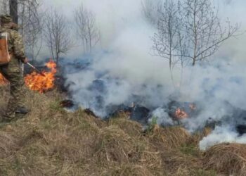 Шығыс Қазақстан облысындағы орман өрті әлі сөндірілмеді