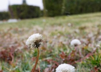 Демалыс күндері елдің солтүстігі мен орталығында 3 градусқа дейін үсік жүреді