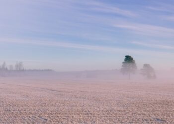 Қазақстанда алдағы күндері ауа райы қандай болады?