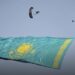 Парашютист Қазақстанның ең үлкен туын көкте қалықтатып рекорд орнатты