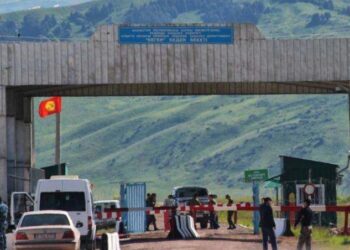 «19 мың гектар жерімізді қырғыздар пайдаланып отыр»: Сенатор қазақ-қырғыз шекарасындағы жағдайға қатысты дабыл қақты