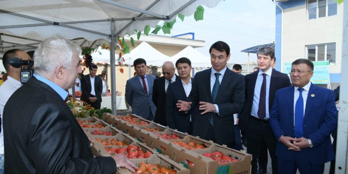 Дархан Cатыбалды Cайрам ауданындағы бастамаларды оң бағалады