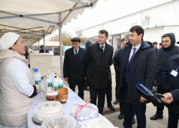 Дархан Cатыбалды: «Біз үшін әр тұрғынның мәселесі маңызды»